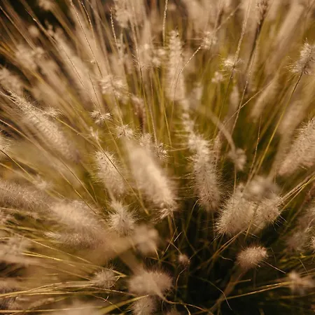 Thija, Private View Retreat, Glyfada Naxos Дом отдыха *