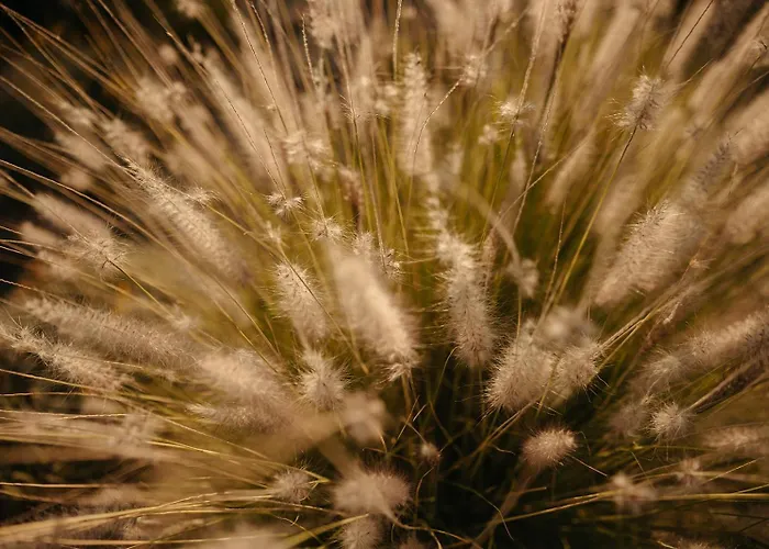 Thija, Private View Retreat, Glyfada Naxos Holiday home *